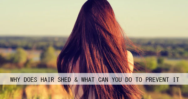 Why Does Hair Shed & What Can You Do to Prevent It? | AmazingBeautyHair