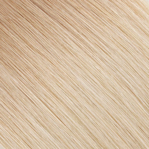 Tape In Hair Extension T #12/#60 Golden Brown Ombre Ash Blonde